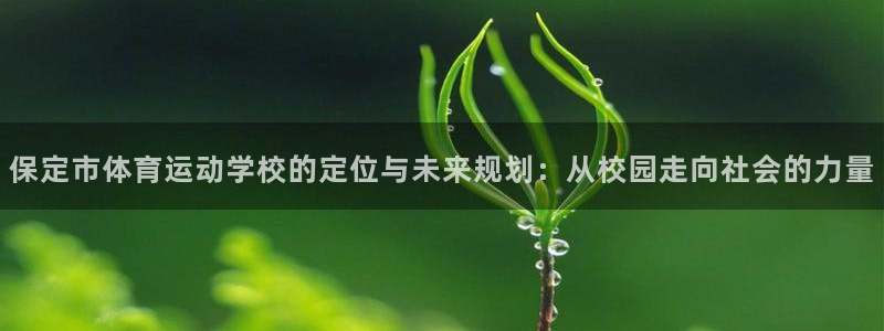 保定市体育运动学校的定位与未来规划：从校园走向社会的力量