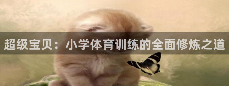 超级宝贝：小学体育训练的全面修炼之道