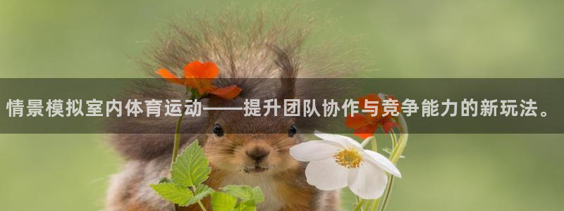 情景模拟室内体育运动——提升团队协作与竞争能力的新玩法。