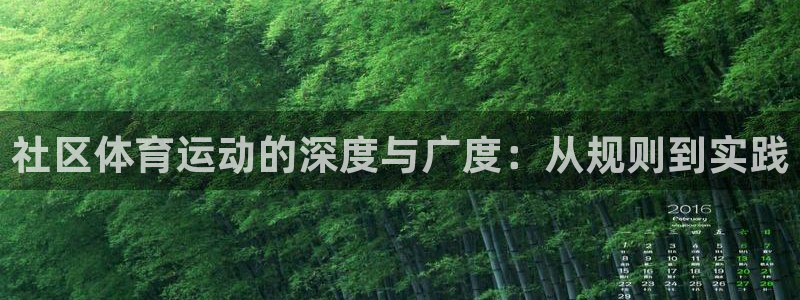 社区体育运动的深度与广度：从规则到实践