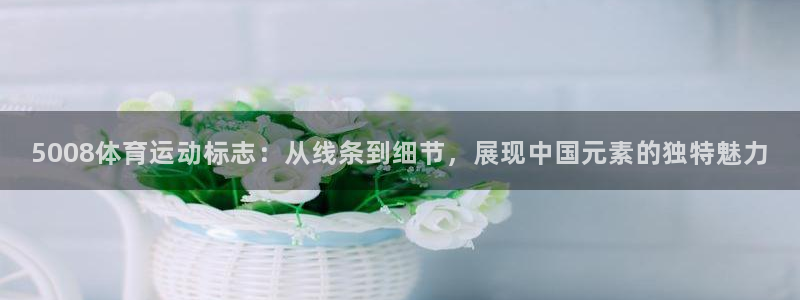 5008体育运动标志：从线条到细节，展现中国元素的独特魅力