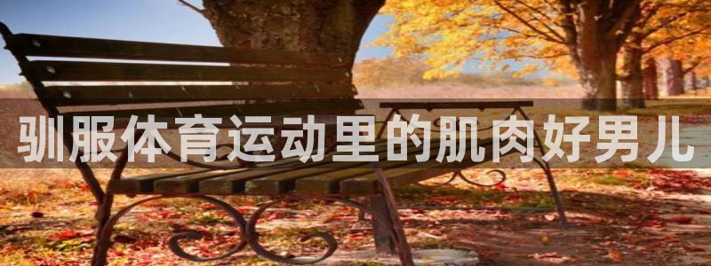 驯服体育运动里的肌肉好男儿