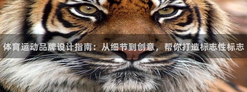 体育运动品牌设计指南：从细节到创意，帮你打造标志性标志