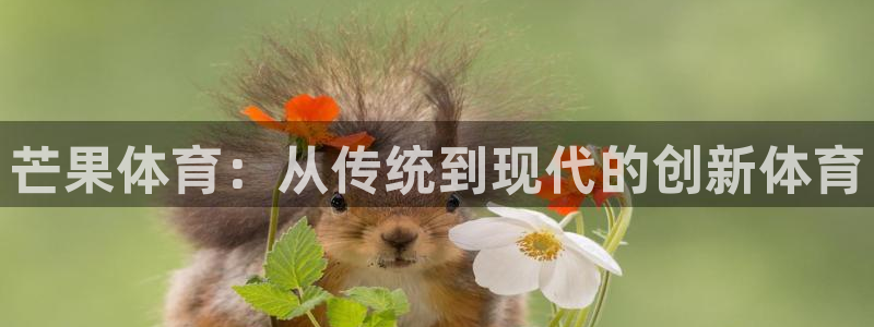 芒果体育：从传统到现代的创新体育