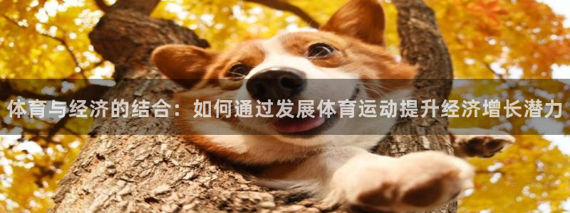 体育与经济的结合：如何通过发展体育运动提升经济增长潜力