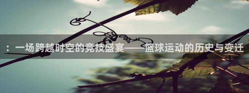 ：一场跨越时空的竞技盛宴——篮球运动的历史与变迁