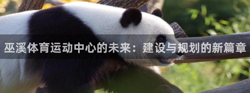 巫溪体育运动中心的未来：建设与规划的新篇章