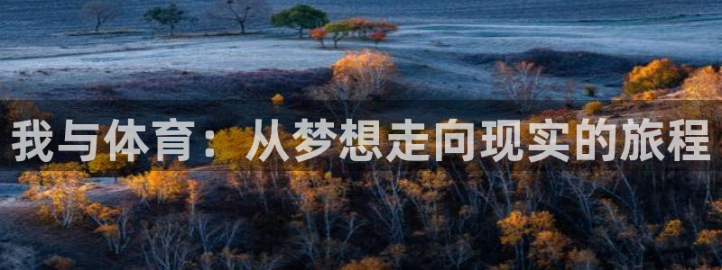 我与体育：从梦想走向现实的旅程