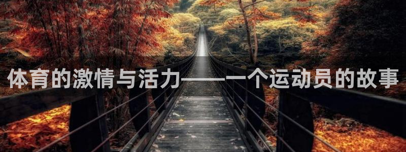 体育的激情与活力——一个运动员的故事