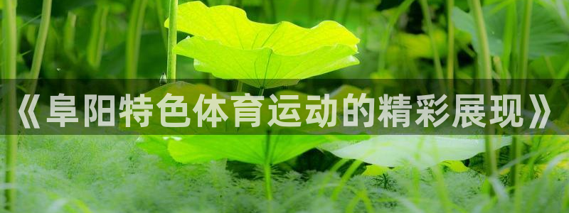 《阜阳特色体育运动的精彩展现》