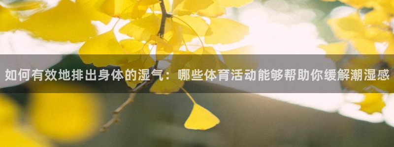 如何有效地排出身体的湿气：哪些体育活动能够帮助你缓解潮湿感