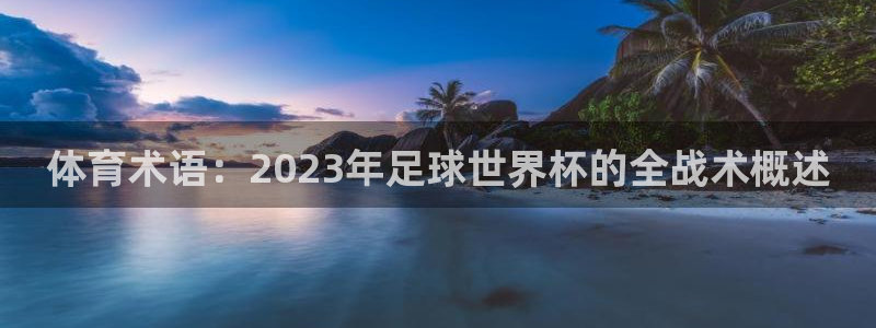 体育术语：2023年足球世界杯的全战术概述
