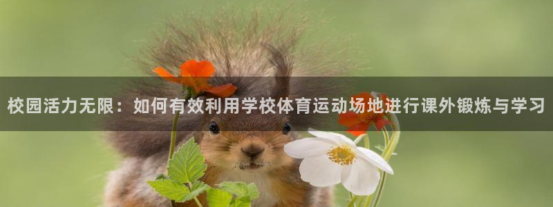 校园活力无限：如何有效利用学校体育运动场地进行课外锻炼与学习