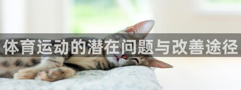 体育运动的潜在问题与改善途径