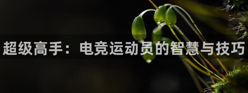 超级高手：电竞运动员的智慧与技巧