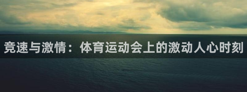 竞速与激情：体育运动会上的激动人心时刻