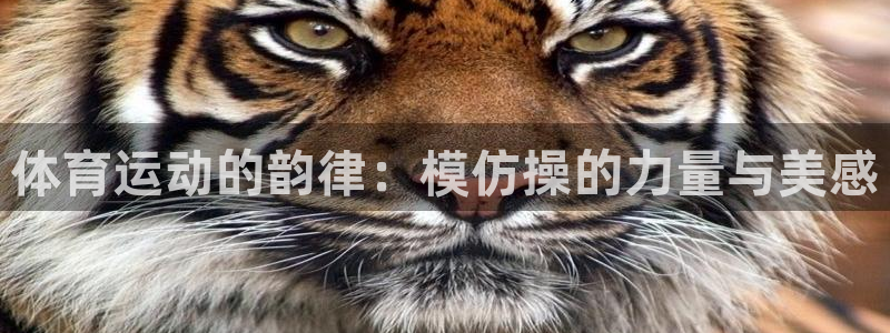 体育运动的韵律：模仿操的力量与美感