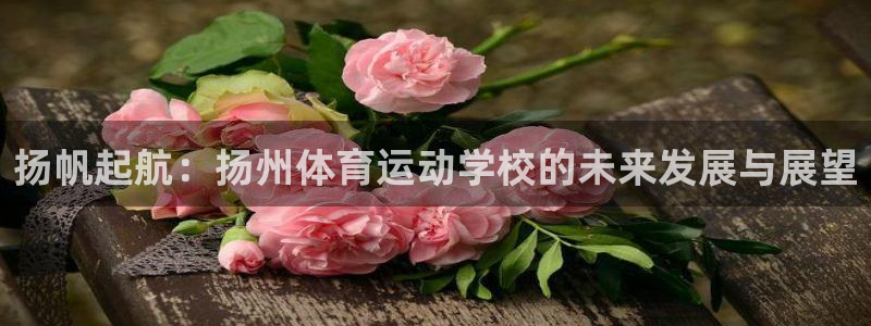 扬帆起航：扬州体育运动学校的未来发展与展望